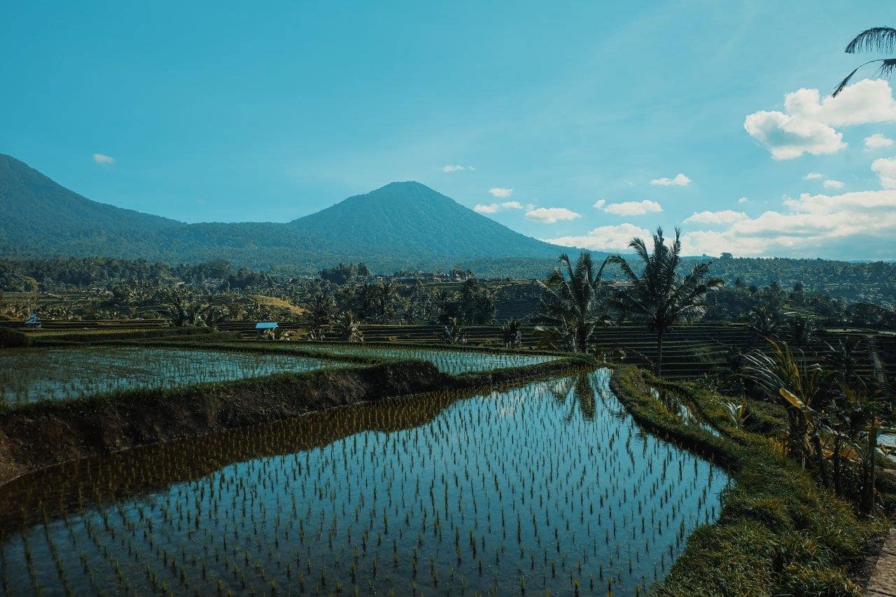 Jatiluwih rice terraces and mountain scenery on the Bali UNESCO Heritage Sites Tour