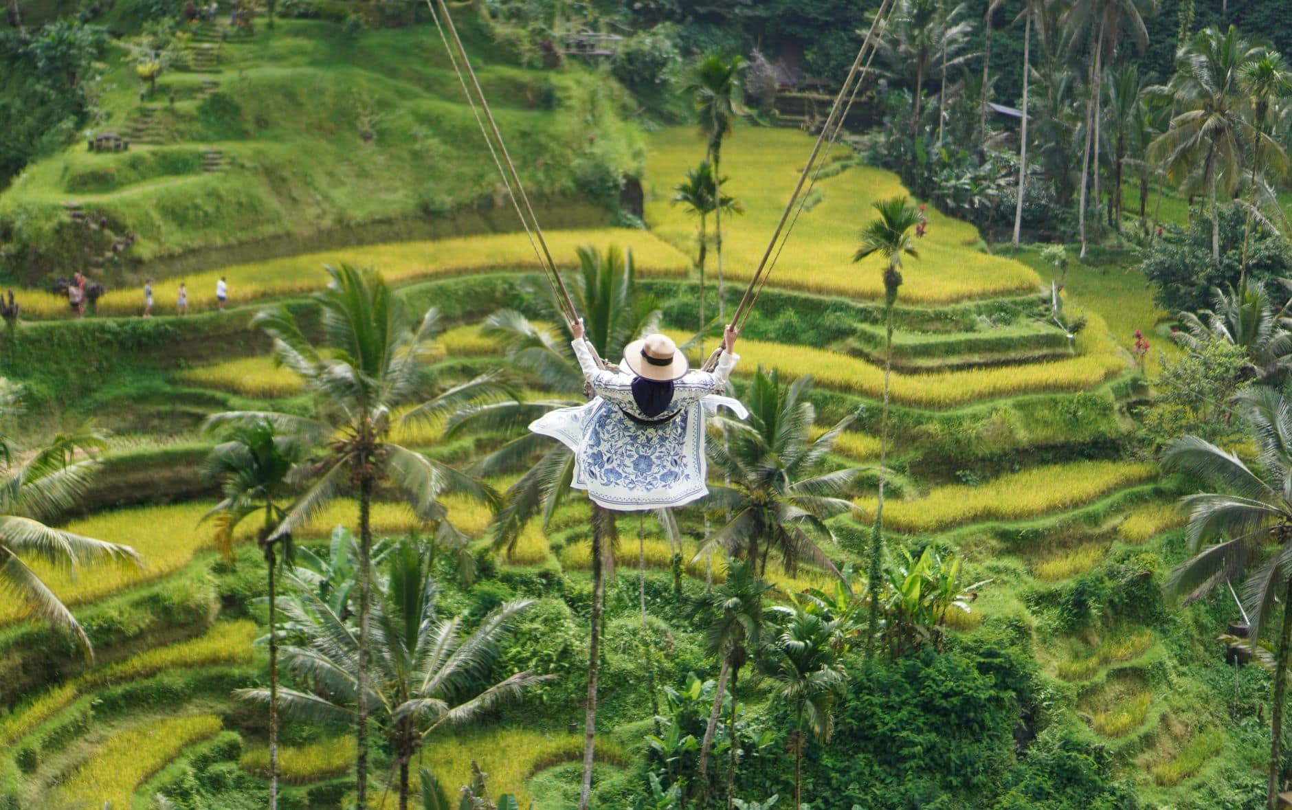 Jungle swing over the rice terraces near Ubud, Bali